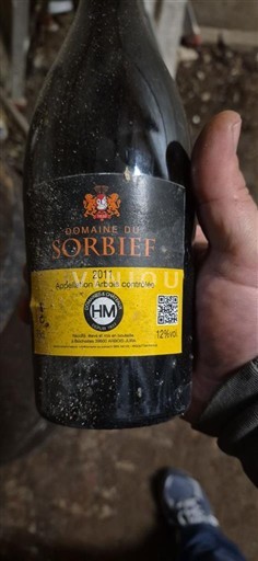 Jura Arbois Domaine Sorbief 2011