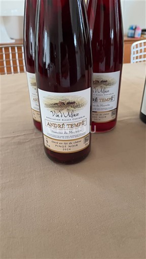 Alsacia André Tempé 2024