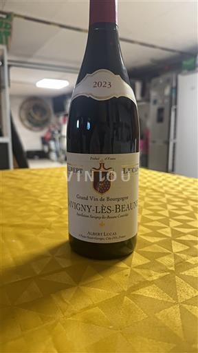 Burgundia Savigny-lès-beaune Albert Lucas 2023