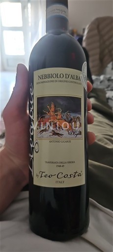 Piemonte Nebbiolo d'Alba Teo Costa Ligabue 2023