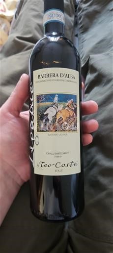 Piemonte Barbera d'Alba Teo Costa Ligabue 2024