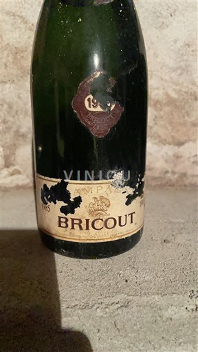Champagne Șampanie Bricout 1985
