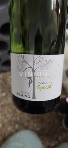 Alsacia Riesling Domaine Specht 2024