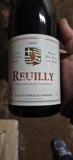 Valea Loarei Reuilly Denis Jamain 2000