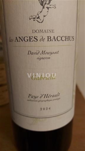 Languedoc Nespecificat Domaine Les Anges de Bacchus Gabrielle 2024