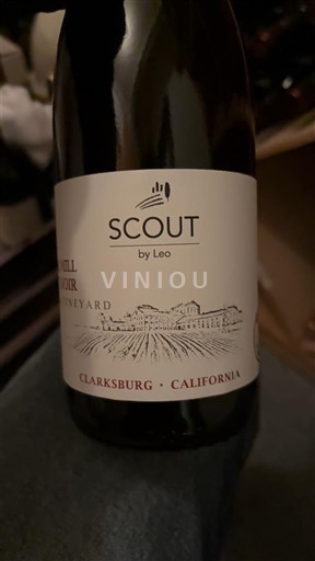 AVA din California Clarksburg Scout by Leo 2023