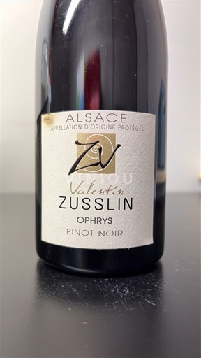 Alsacia Pinot noir Valentin Zusslin Ophrys Nemilésimat