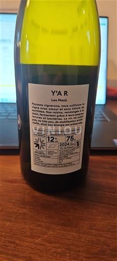 Provence Les Maoh Y'A R 2024