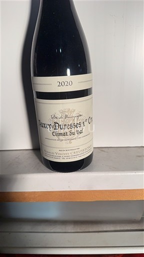 Burgundia Nespecificat Premier Cru Alain et Vincent Creusefond Climat du Val 2020