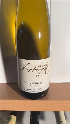 Alsacia Vignoble Arbogast Weinberg Victor 2022