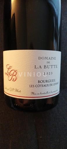 Valea Loarei Bourgueil Domaine La Butte Les Coteaux du Levant 2023