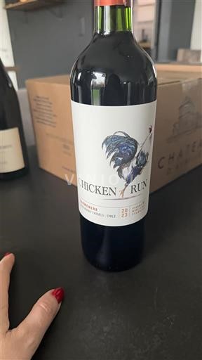 Valea Aconcagua Aconcagua Andes Chicken Run 2023