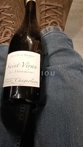 Burgundia Saint-Véran Domaine Frantz Chagnoleau Les Montchanins 2023