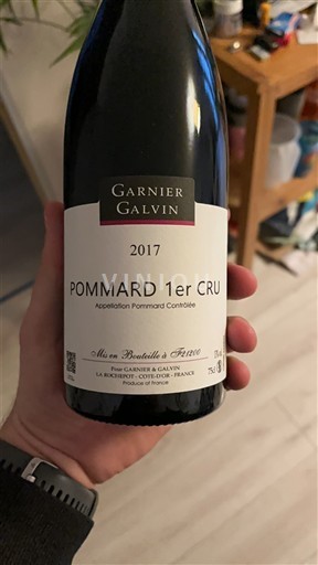 Borgogna Pommard Premier Cru Garnier Galvin 2017