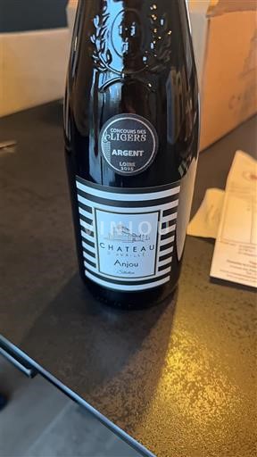 Valea Loarei Anjou Château Anjou 2023