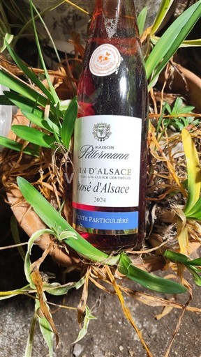 Alsace Määrittelemätön Maison Pettermann Particulière 2024