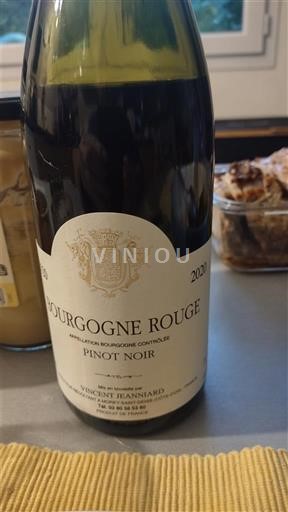 Burgundia Bourgogne Rose Vincent Jeanniard 2020