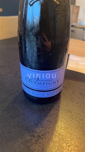 Valea Loarei Saumur-Champigny Cave de Saumur Pascal Biotteau 2024