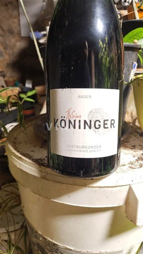 Baden Baden. Tobias Köninger 2023