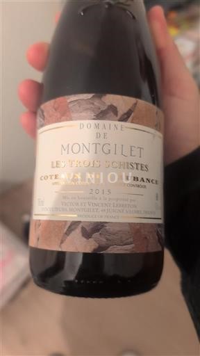 Valea Loarei Coteaux-de-l'Aubance Domaine Montgilet Les Trois Schistes 2015