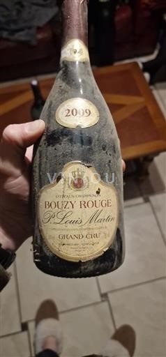 Champagne Nespecificat Grand Cru Paul Louis Martin 2009