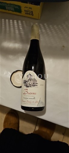 Burgundi Beaune Domaine Bouché et Fils 2022