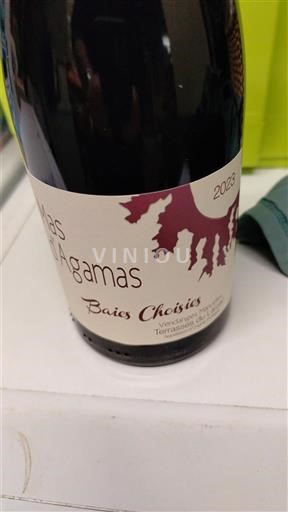 Languedoc Terasele-Larzac Mas des Agamas Baies Choisies 2023