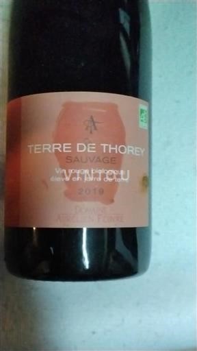 Regiunile Estice Coteaux de l'Auxois Aurelien Febvre Terre de Thorey Sauvage 2019