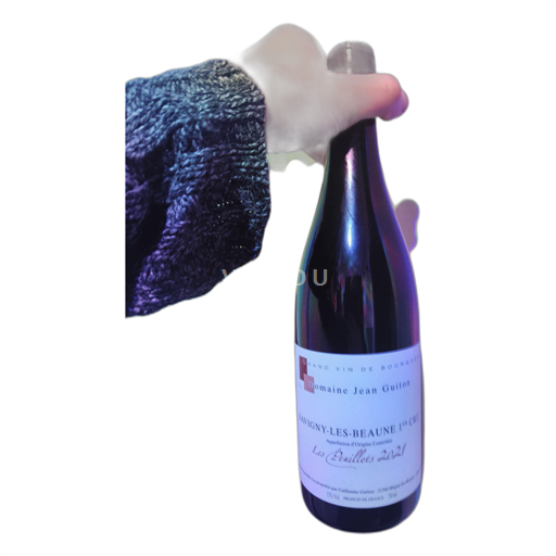Burgundsko Savigny-lès-Beaune Domaine Jean Guiton Les Peuillets 2021