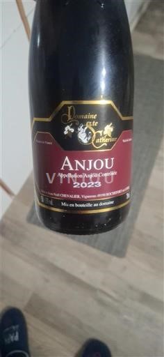 Valea Loarei Anjou Domaine Ste Catherine 2023