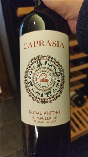 Comunitatea Valenciană Utiel-Requena Caprasia Bobal Ánfora 2021