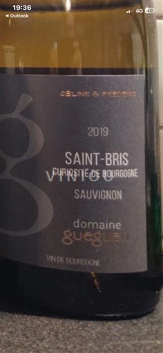 Borgogna Saint-Bris Domaine Gueguen Curiosité de Bourgogne 2019