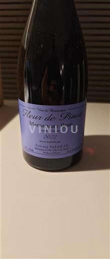 Burgundia Nespecificat Sylvain Pataille Fleur de Pinot 2022