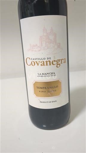 Castilia-La Mancha La Mancha Castillo de Covanegra Tempranillo Vino Tinto 2022