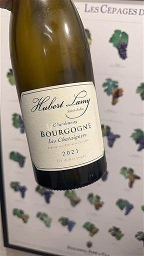 Burgundia Domaine Hubert Lamy Les Châtaigniers 2021