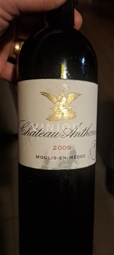 Bordeaux Moulis-en-Médoc Château Anthonic 2009