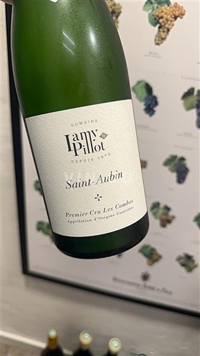 Burgundia Saint-Aubin Premier Cru Domaine Lamy Pillot Premier Cru Les Combes 2022
