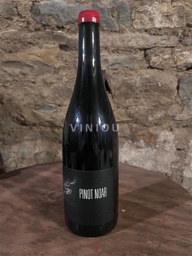 Burgundia Hautes Côtes de Nuits Pinot Noar Arnaud Lopez Pinot Noar 2024