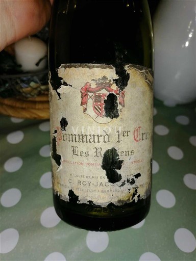Burgundi Määrittelemätön Premier Cru Domaine Roy-Jacquesson Les Rugiens 1997