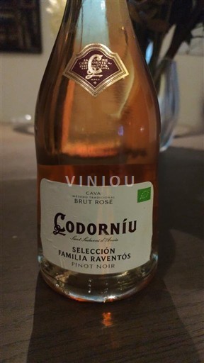 Catalonia Cava Codorníu Selección Familia Raventós 2024