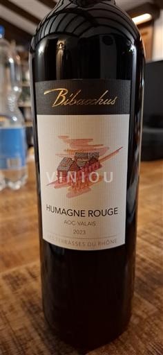 Valais Valea Bibacchus Les Terrasses du Rhône 2023