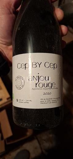 Valea Loarei Anjou Cep By Cep 2020
