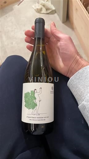Valea Loarei Nespecificat Domaine Frères J’suis blanc comme un cul 2023