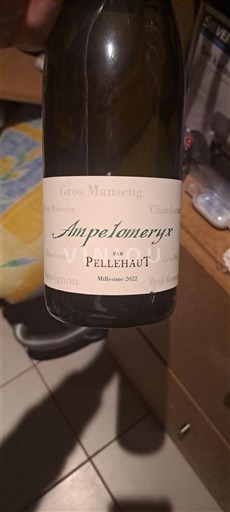 Sud-Vest Côtes de Gascogne Domaine Pellehaut Ampelomeryx 2022