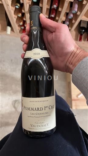 Burgundia Nespecificat Premier Cru Domaine Christophe Vaudoisey Les Chanlins 2018
