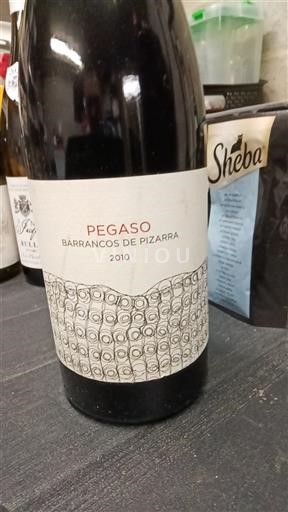 Castilia și León Nespecificat Telmo Rodriguez Pegaso 2010