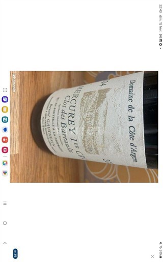 Burgundi Määrittelemätön Premier Cru Domaine La Côte d'Argent Clos des Barraults 2004