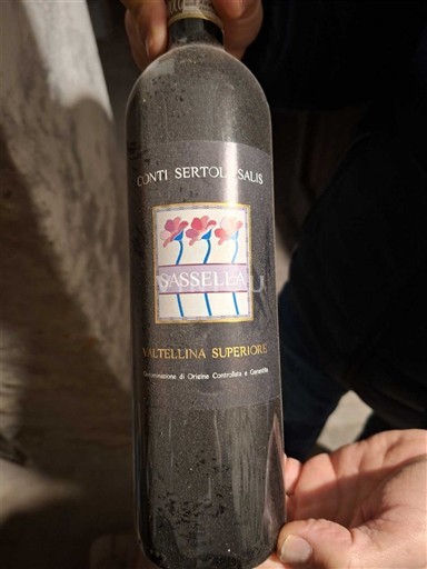 Lombardia Valtellina Superiore Conti Sertoli Salis Sassella 2017