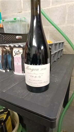 Beaujolais Morgon Jean Foillard Côte Du Py Côte du Py 2020