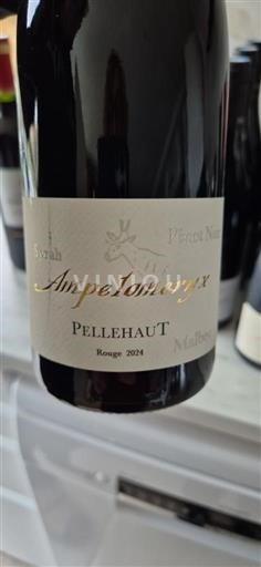 Sud-Vest Côtes de Gascogne Domaine Pellehaut Ampelomeryx 2021